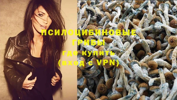 МДПВ Аркадак